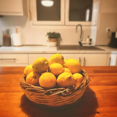 Lucy's مدينة سكياثوس